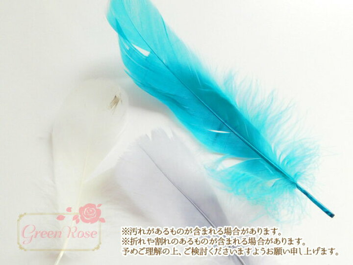 楽天市場 ふんわり天然フェザー 10枚 鳥の羽根 鳥 羽 アクセサリーパーツ Motif218 Green Rose ネットショップ Yumi