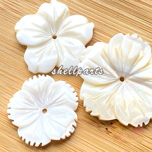 VF@t[@r[Y@p[c@VRfށ@L@C@ā@ANZT[p[c@2 sb-275 GreenRoseYumi