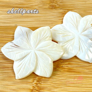 VF@傫ځ@p[c@VRfށ@L@C@ā@ANZT[p[c@1 sb-280 GreenRoseYumi