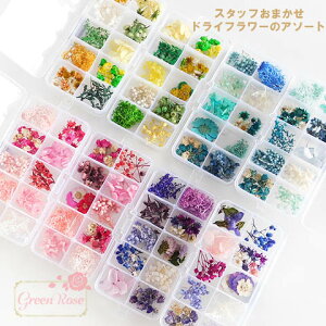 hCt[ ~bNX Zbg W ANZT[p[c assort135 n[oE ԁ@t GreenRoseYumi