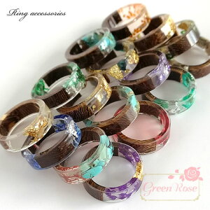 ANO 16 S16 1 Ebh ؖ zC  NAJ[ W  w ANZT[ PP-154 GreenRoseYumi