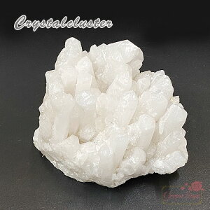 y1_zyzցzCeA IuWF  NX^[ NX^ VR  p[Xg[ ANZT[ cluster-123 GreenRoseYumi