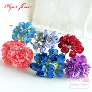 nhCh C bsO AeB[Ny[p[t[ ~jo 6F 1   u[PZ-55 GreenRoseYumi