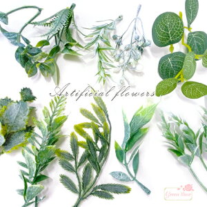 t A  [X@ԗց@NX}X@nEB@[t tFCNt[ O[ S16 3 z-62 GreenRoseYumi