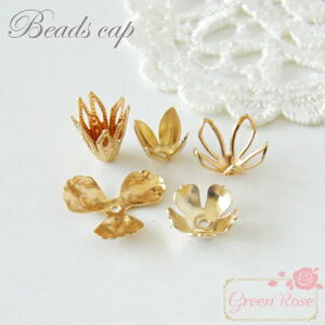 ^J r[YLbv S[h 10  ԍ r[Y VR ANZT[p[c CAP028 029 030 031 032 GreenRoseYumi