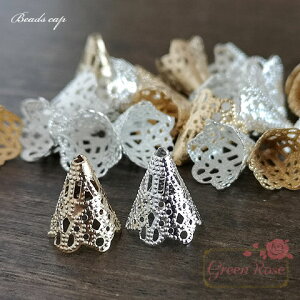 ~r[YLbv S[hEVo[ S2F 100  ԍ r[Y VR ANZT[p[c CAP036 GreenRoseYumi