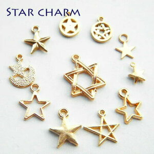 FXIׂ鐯̃`[@S[h 10@  F  `[ nhCh ANZT[p[c qn metalcharm422 GreenRoseYumi