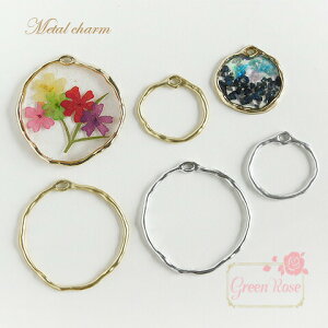 `[ 䂪݃t[v`[ 10@12 t[ O Eh ~ ANZT[p[c J6-3279-3280 GreenRoseYumi