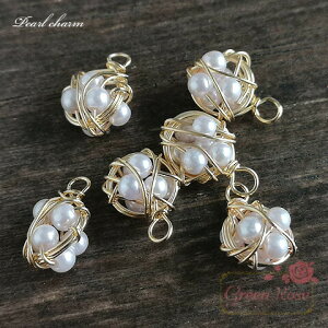 `[ C[p[`[ 2 nhCh ^ ANZT[p[c J6-4002 GreenRoseYumi