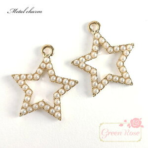 `[ p[X^[`[ 4 nhCh   ^ ANZT[p[c J6-4009 GreenRoseYumi