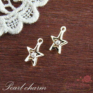 `[ p[^J`[ X^[ 10  r[YAhp[c ANZT[p[c J6-2442 GreenRoseYumi