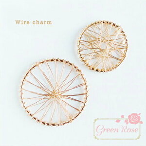 `[ C[`[ Eh 2TCY 2 ANZT[p[c J6-2754 GreenRoseYumi