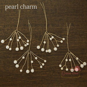 p[̃C[}`[ 2 } p[ ^  ANZT[p[c J6-3166 GreenRoseYumi