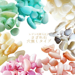 JtVF 10g   C ANZT[p[c W W sazare09 GreenRoseYumi