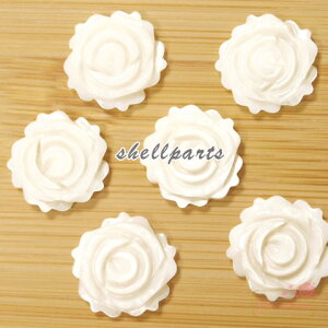 VF KN [Y t[ p[c VRf L C  ANZT[p[c@2 sb-310 GreenRoseYumi