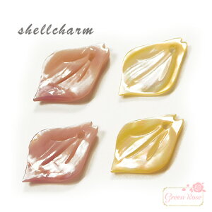 VF [t t `[ VRf L C  ANZT[p[c sb-311 GreenRoseYumi