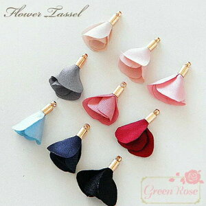 ߃t[^bZ 10 t  ANZT[p[c tW Tassel31 tsl GreenRoseYumi