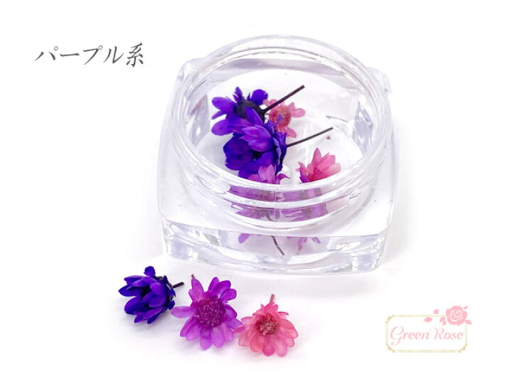 楽天市場 レジン封入 ガラスドームなどに スターフラワーのカラーアソート 9個入 花押し花 ドライフラワー レジンクラフト アクセサリーパーツ ハーバリウム 花材 Rp 14 Green Rose ネットショップ Yumi