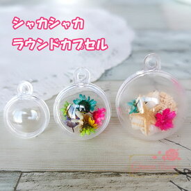プラスチック ラウンド カプセル キーホルダー ドーム クリアカプセル シャカシャカ ケース シャラシャラ カップ 小 中 大 YM1-1149 GreenRoseYumi