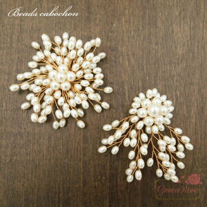 p[r[YJ{V S2 1 p[ Be[W AeB[N nhCh ANZT[p[c YM1-1574 1575 GreenRoseYumi