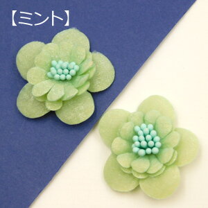 t[`[t ybvt  a S7F 2 motif573 GreenRoseYumi