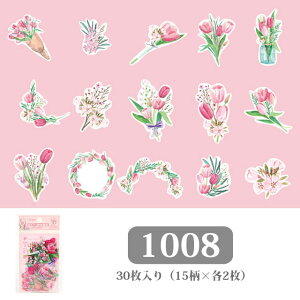 NAXebJ[ W  [  A t[ pXe ݃J[ S8 130@seal93 GreenRoseYumi