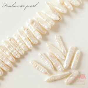 Wp[r[Y 2 ^ r[YAhp[c ANZT[p[c TSP-62 GreenRoseYumi