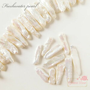 Wp[r[Y `@2 ^ r[YAhp[c ANZT[p[c TSP-63 GreenRoseYumi