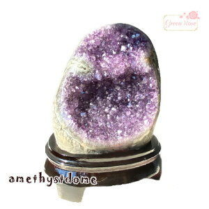 y1_zVR AWXg h[ NX^[ p[Xg[  u J^ CeA  IuWF amed6 GreenRoseYumi