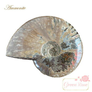 AiCg΁@bht@C[@700g  VR AL AM-13 GreenRoseYumi