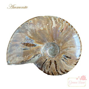 AiCg΁@bht@C[@400g  VR AL AM-17 GreenRoseYumi