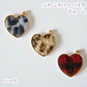 (10)n[g ӂӂt@[t`[ ~ 161212m ANZT[p[c QI J6-1796 GreenRoseYumi