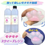 モチモチレジン スクイーズ もちもち ぷよぷよ やみつき ストレス解消 グミ ソフト 簡単 まぜるだけ 親子…