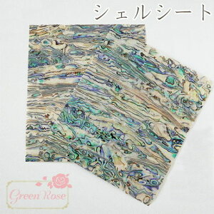 VFV[g 11.5×13.5cm W L   `bv  C ANZT[p[c W W@p[c UVW RP-52 GreenRoseYumi