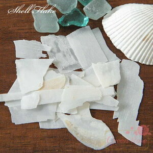 W VFt[N3gyzCgz @L   `bv  C ANZT[p[c W W@p[c RP-53 GreenRoseYumi