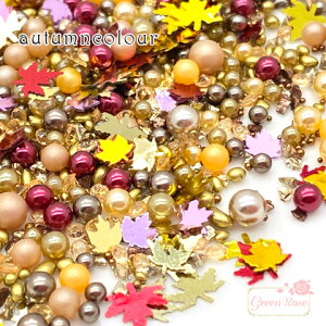 I[^ HJ[  p[c ݂ zO  p[ ~bNX P[X 1 rp-169 GreenRoseYumi