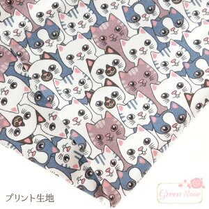 vg n ʂɂ L LoXn Jbgς NX@100×145cm@1@cloth-09 GreenRoseYumi