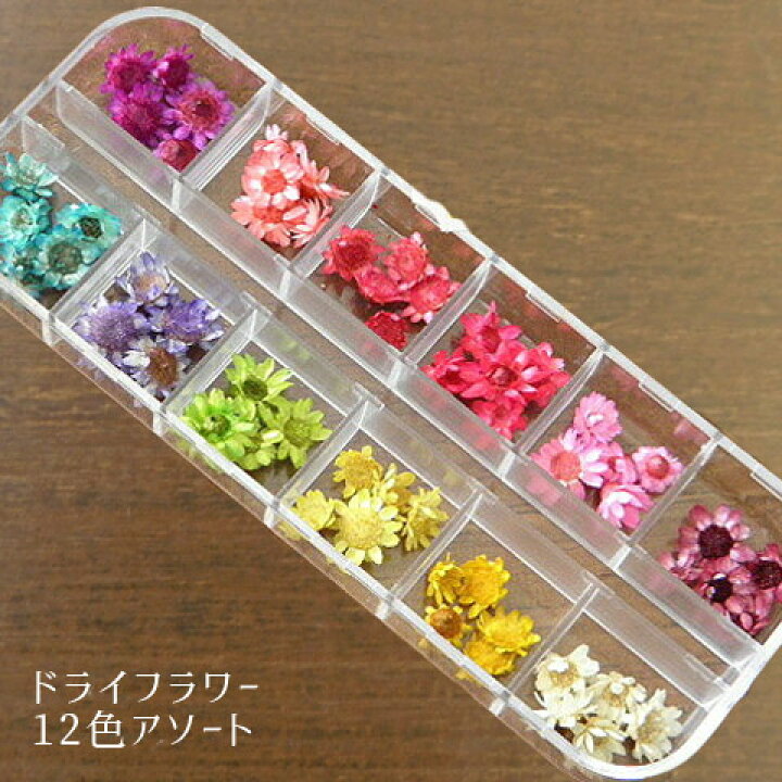 楽天市場】レジン封入 ドライフラワーの12色アソート 花 レジン 