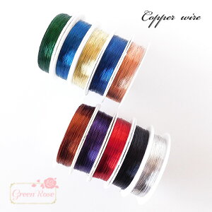 ^JC[ 1 j ANZT[p[c Xgbv L[z_[  r[Y wire013 GreenRoseYumi