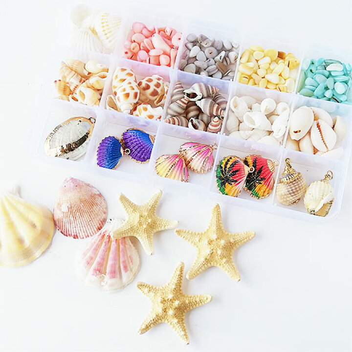楽天市場】シェル アソート セット 貝殻 さざれ チャーム 二枚貝 巻貝  