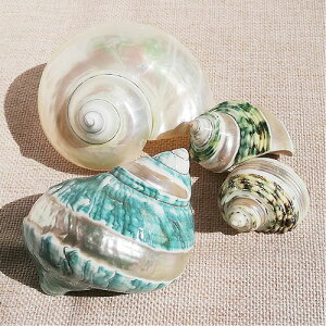 L Lk   u[O[n zCgn C } L  LbY H ċx VF  傫 CeA fBXvC kai-029 030 031 032 GreenRoseYumi