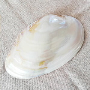 傫ȔLk 1 VF C  WL CeA G fBXvC  H ċx LbY kai-039 GreenRoseYumi