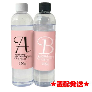 2液性レジン液500g おまけ付き 大容量 エポキシレジン液 クリア 1:1 業務用 resin39 GreenRoseYumi 置配