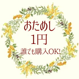 1円パーツおためし　だれでも購入可 1点のみok