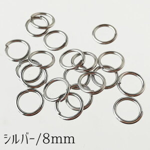 XeX ۃJ S4TCY S[h Vo[ 20 }J  kanagu674 GreenRoseYumi