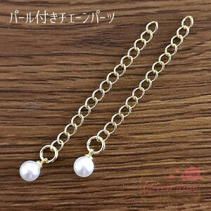 p[ AWX^[  S[h 2 kanagu571 GreenRoseYumi