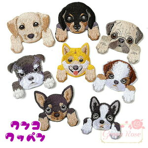 Еt by  S8 1 \t Dt q Ck motif493 GreenRoseYumi