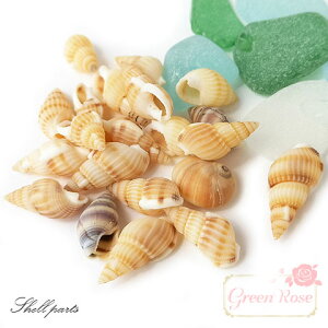 L̊Lk  } C T}[ ċx 10g Kai-002 GreenRoseYumi