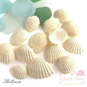 Lk VF  } C T}[ ċx 10g kai-28 GreenRoseYumi