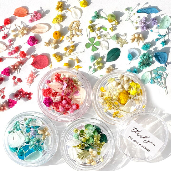 楽天市場】ドライフラワー 色別 花びら つぼみ 色々ミックス レジン 